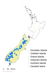 Veronica pauciramosa distribution map based on databased records at AK, CHR & WELT.
 Image: K.Boardman © Landcare Research 2022 CC-BY 4.0